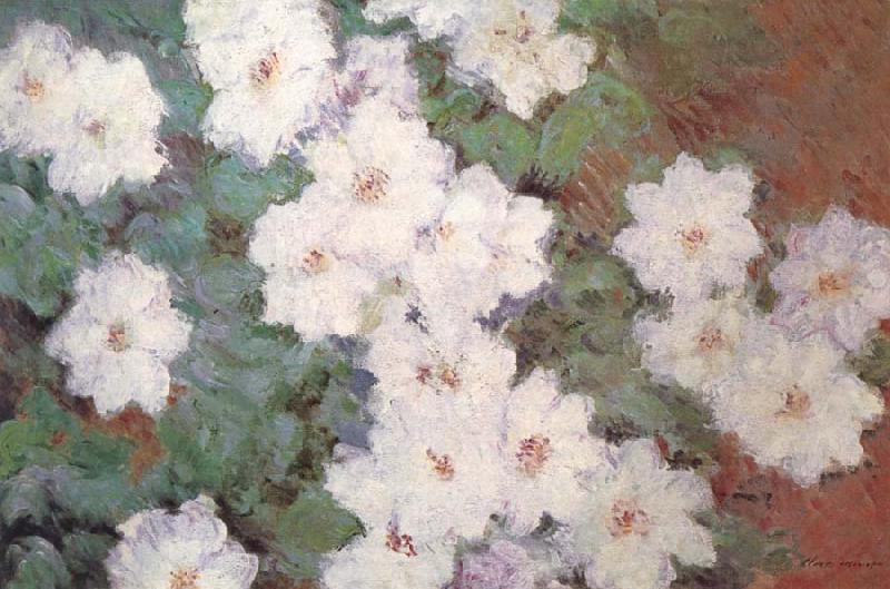 Claude Monet Clematis France oil painting art